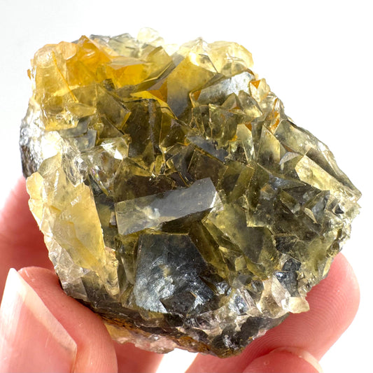 Okorusu Fluorite | “Honey Pocket” yellow crystal cluster, mineral specimen from Namibia