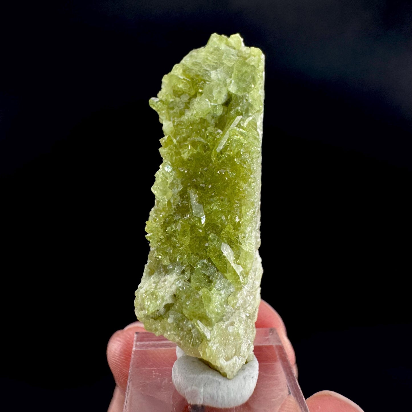 Vesuvianite (Canada) | green crystal, rare mineral specimen
