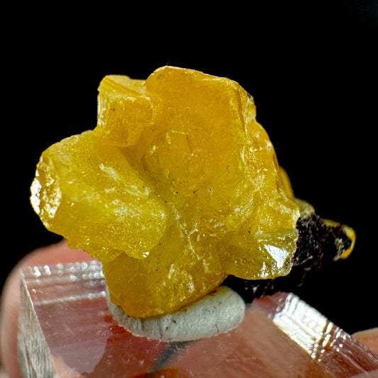 Mimetite | Yellow Crystal, Rare Mineral Specimen from Congo