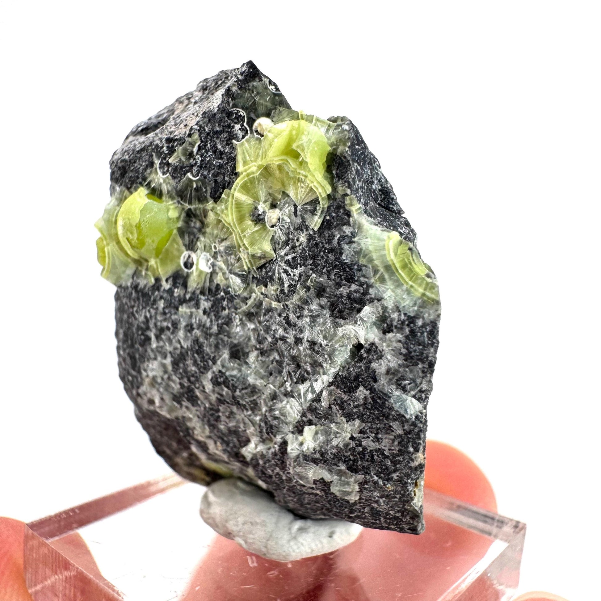 Wavellite (Arkansas, USA) | green crystal cluster, mineral specimen