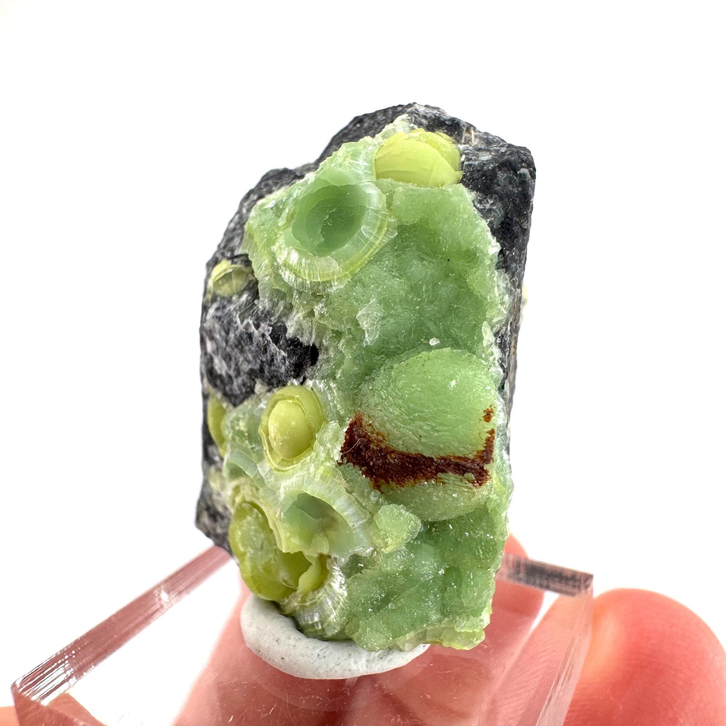 Wavellite (Arkansas, USA) | green crystal cluster, mineral specimen