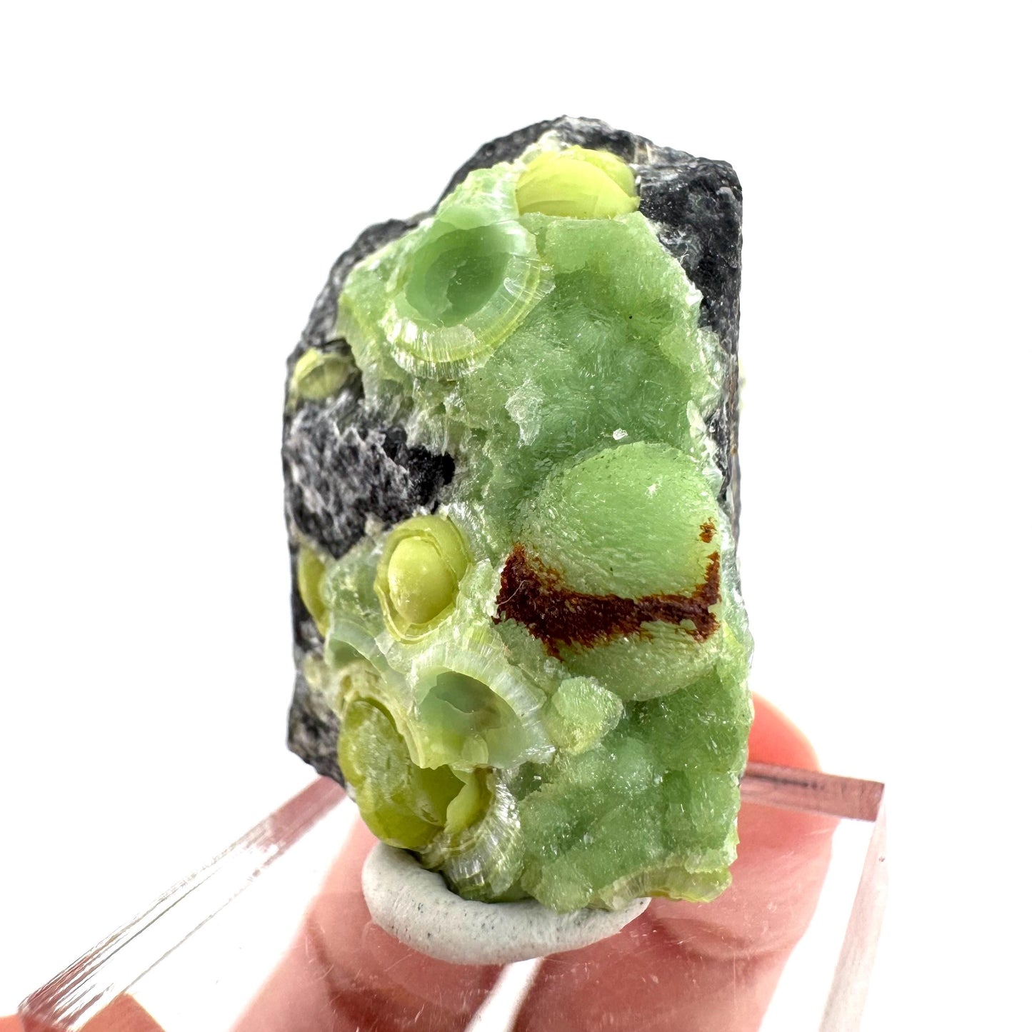 Wavellite (Arkansas, USA) | green crystal cluster, mineral specimen