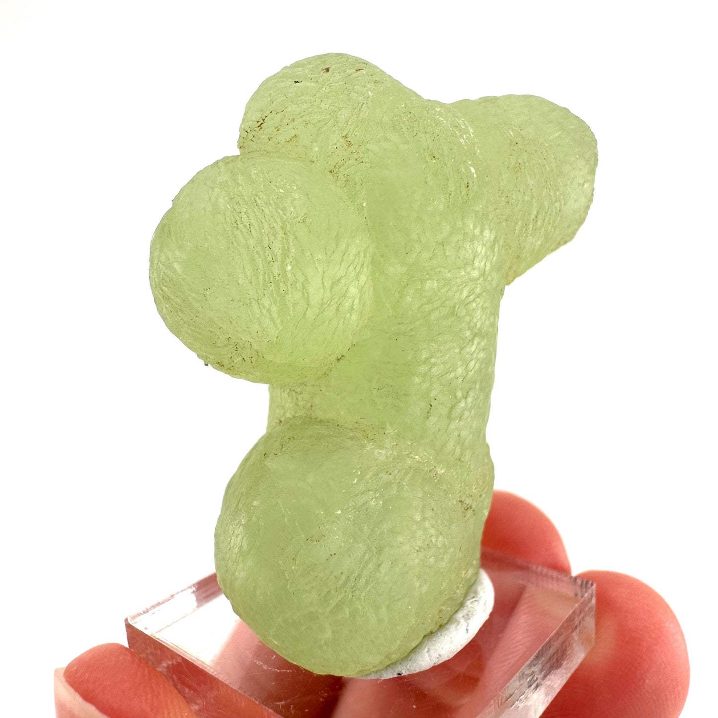 Prehnite | Botryoidal green crystal, mineral specimen from Mali