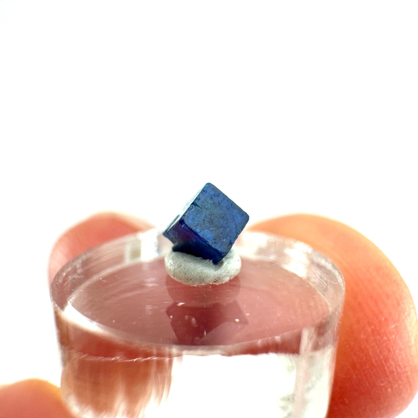 Boleite | blue cube crystal, tiny rare mineral specimen from Mexico