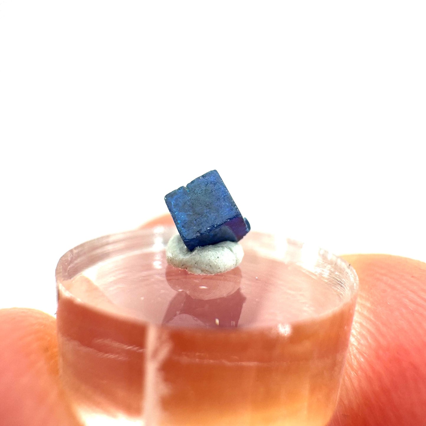 Boleite | blue cube crystal, tiny rare mineral specimen from Mexico