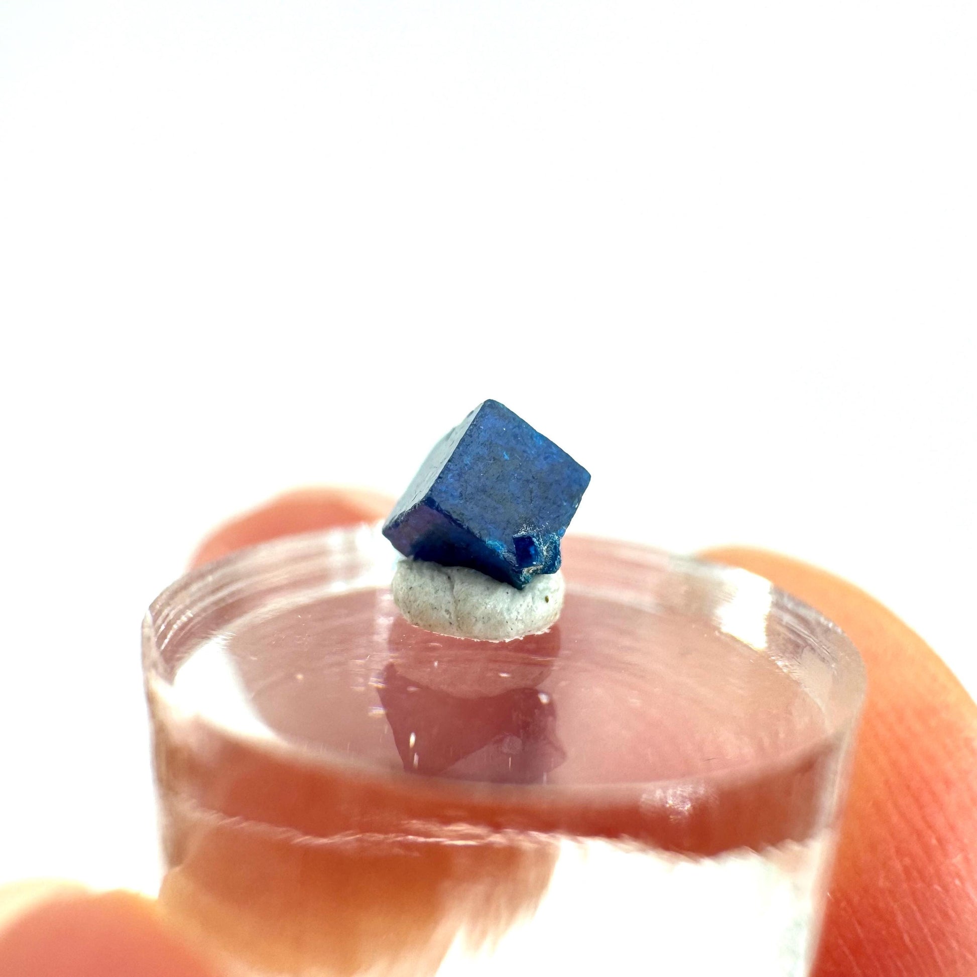 Boleite | blue cube crystal, tiny rare mineral specimen from Mexico