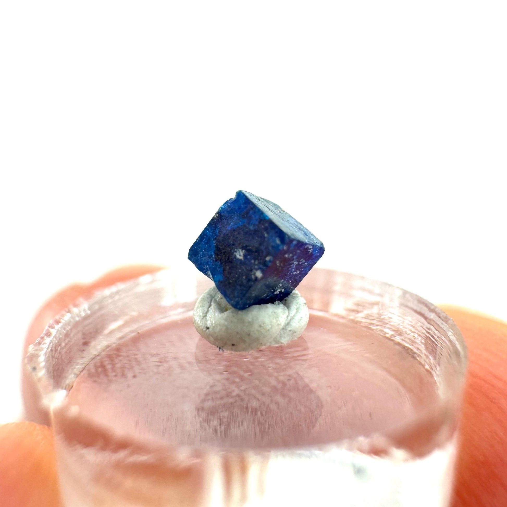 Boleite | blue cube crystal, tiny rare mineral specimen from Mexico