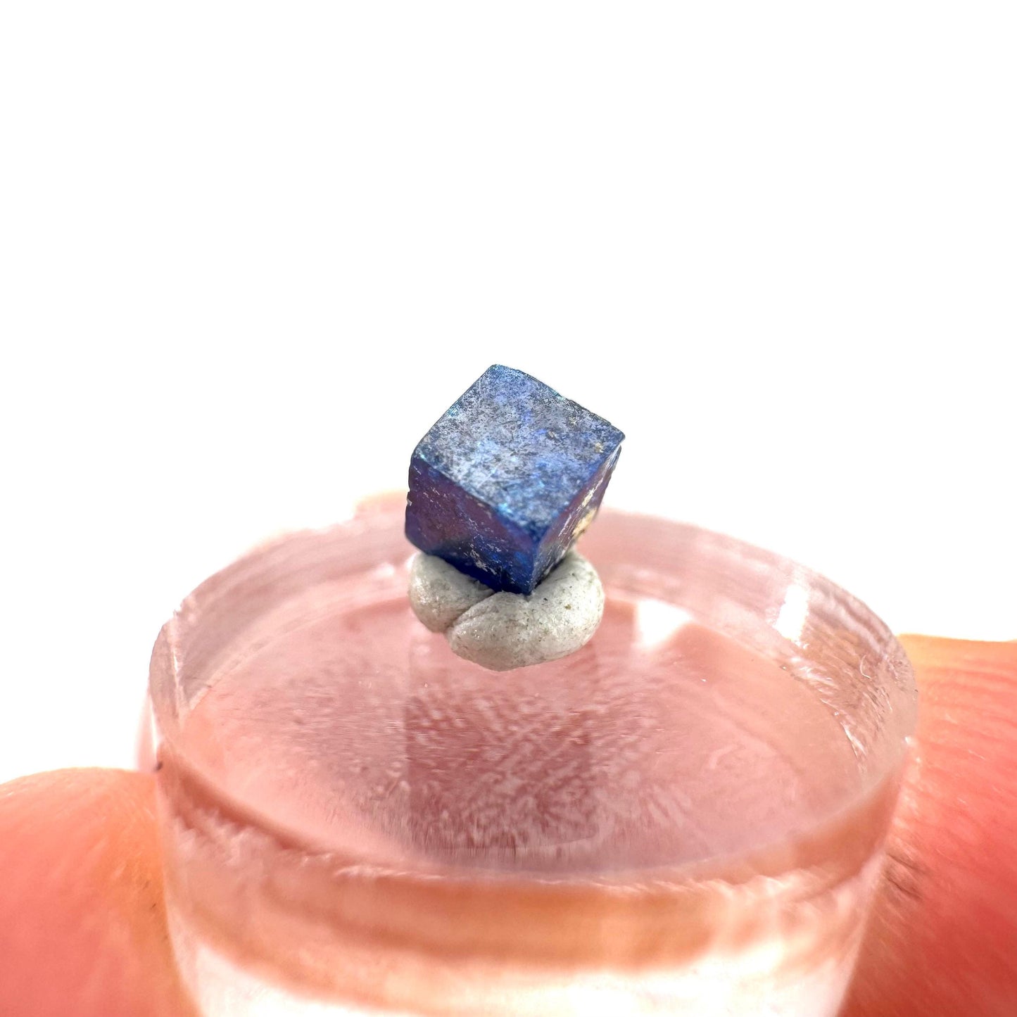 Boleite | blue cube crystal, tiny rare mineral specimen from Mexico
