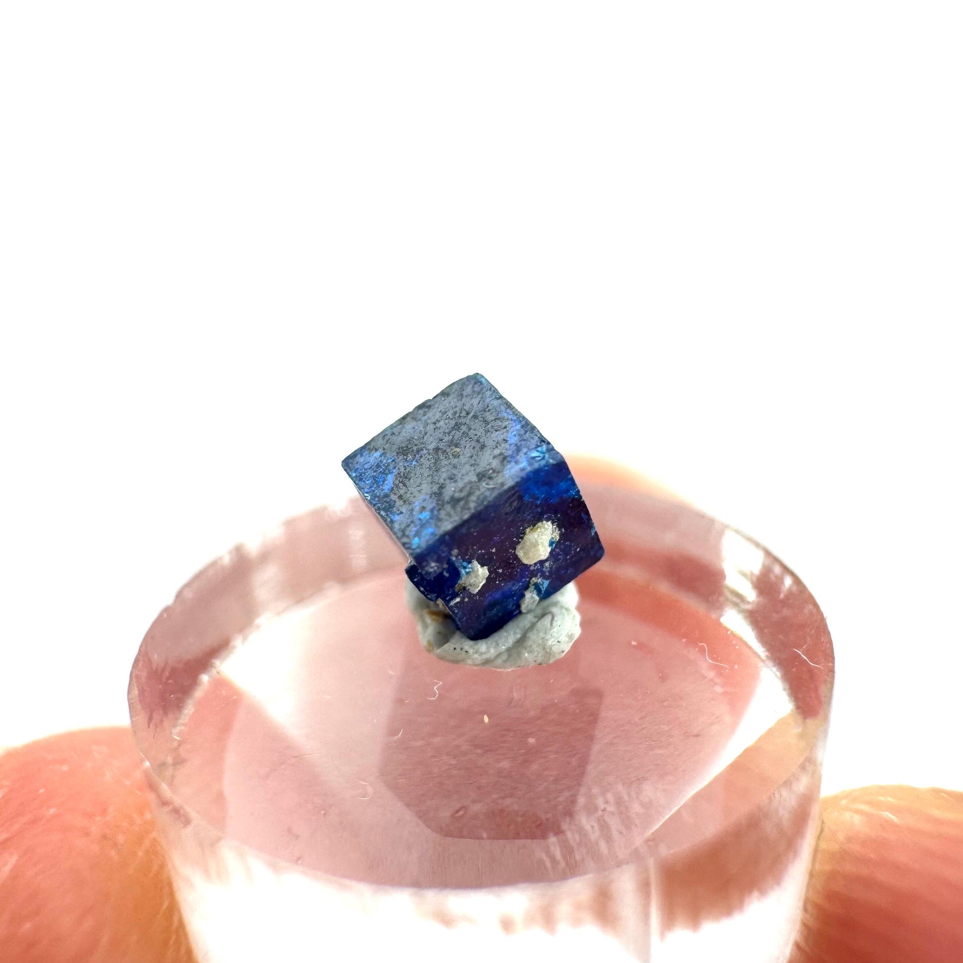 Boleite | blue cube crystal, tiny rare mineral specimen from Mexico