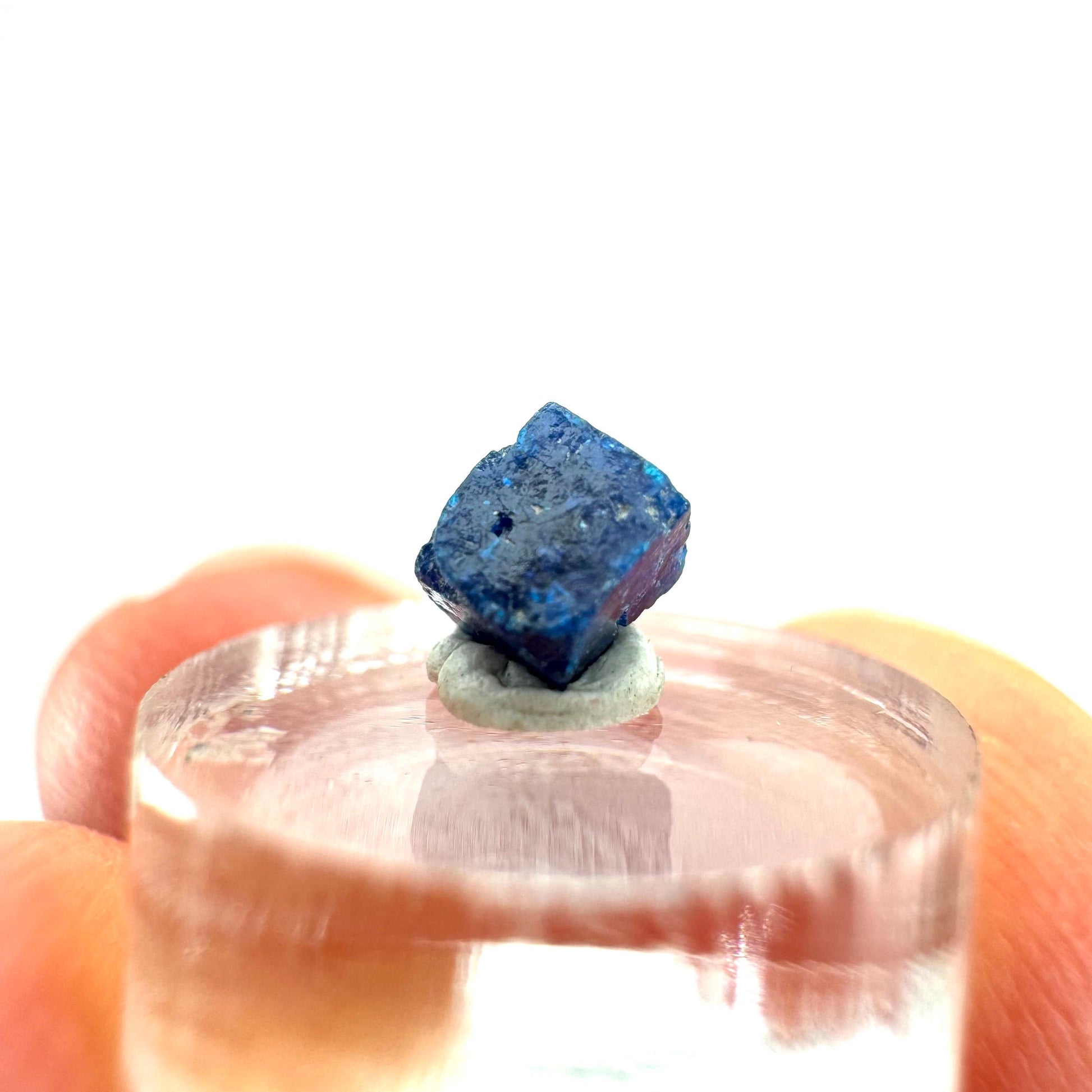 Boleite | blue cube crystal, tiny rare mineral specimen from Mexico