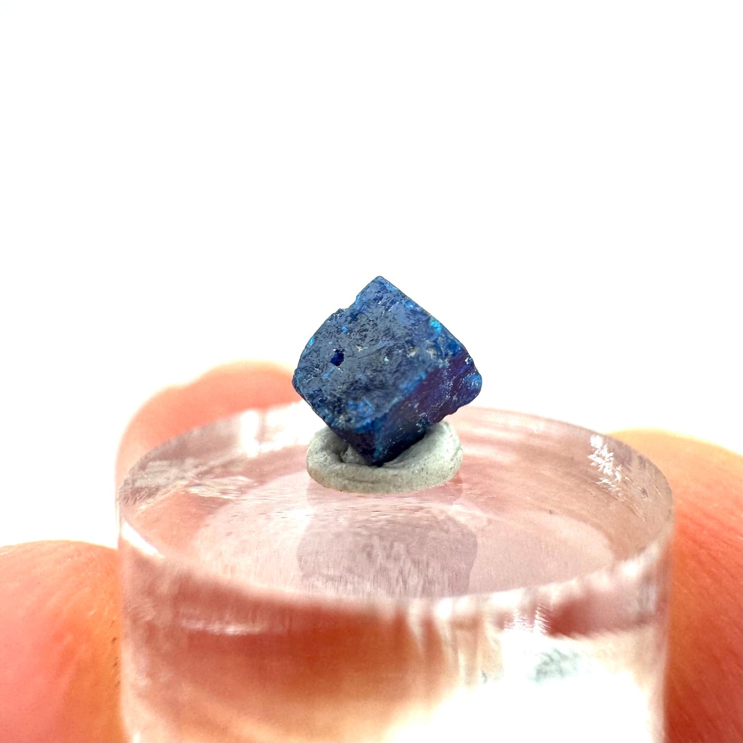 Boleite | blue cube crystal, tiny rare mineral specimen from Mexico