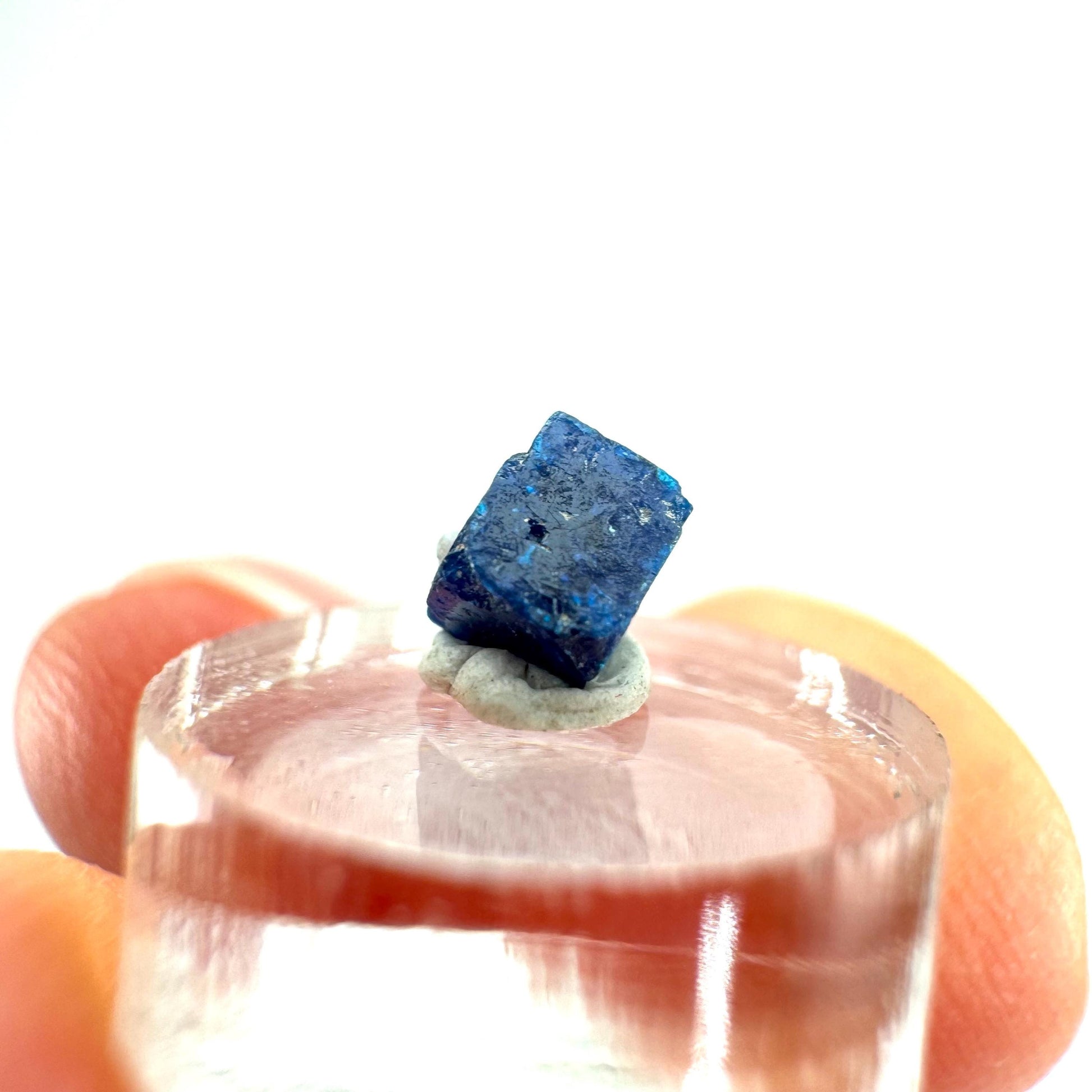 Boleite | blue cube crystal, tiny rare mineral specimen from Mexico