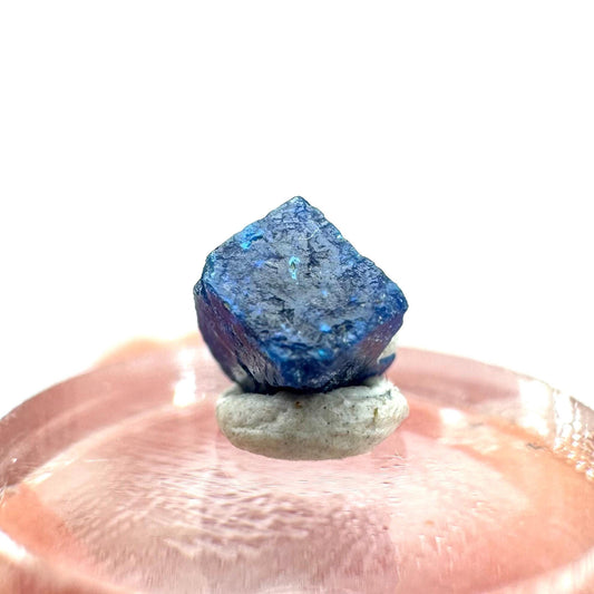Boleite | blue cube crystal, tiny rare mineral specimen from Mexico