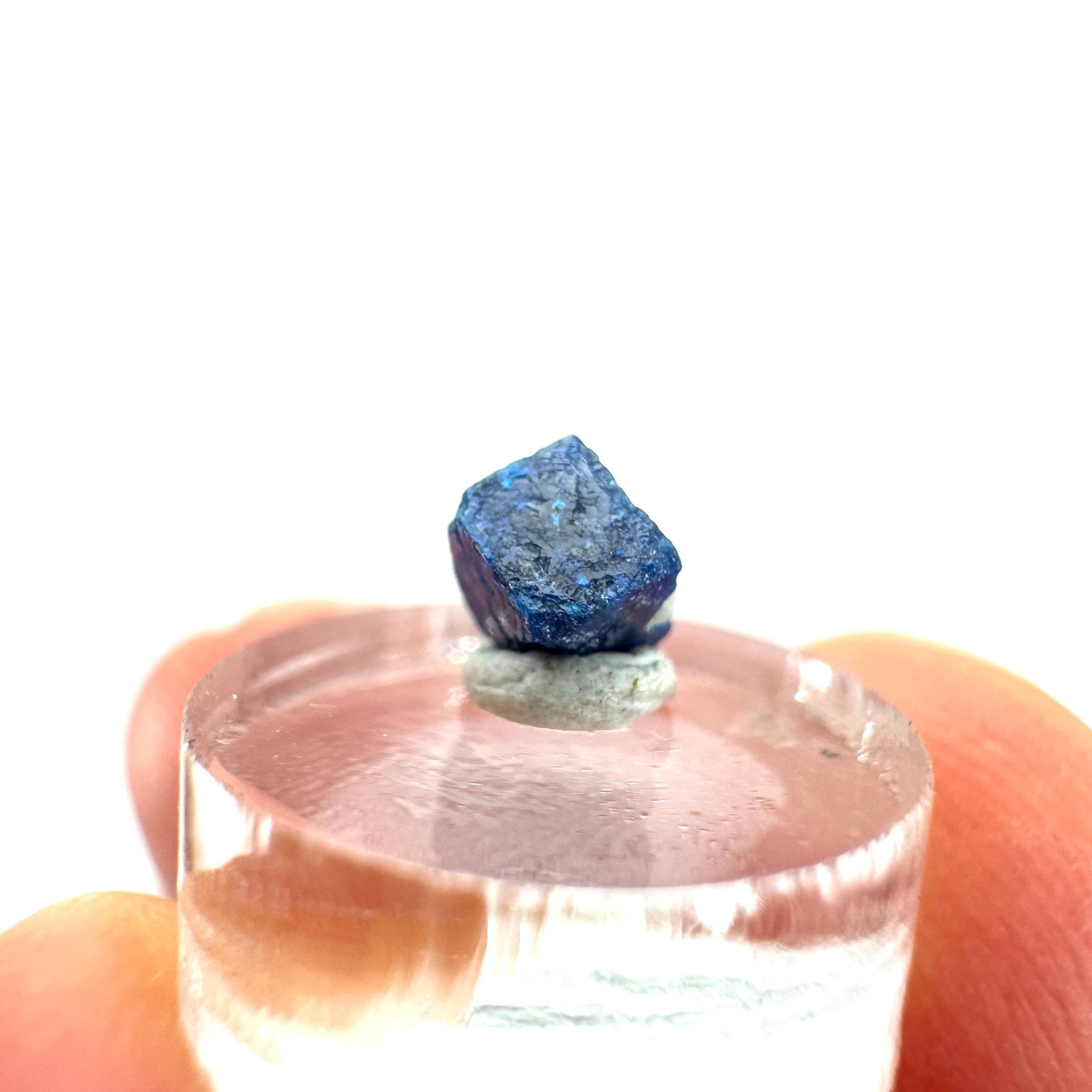 Boleite | blue cube crystal, tiny rare mineral specimen from Mexico