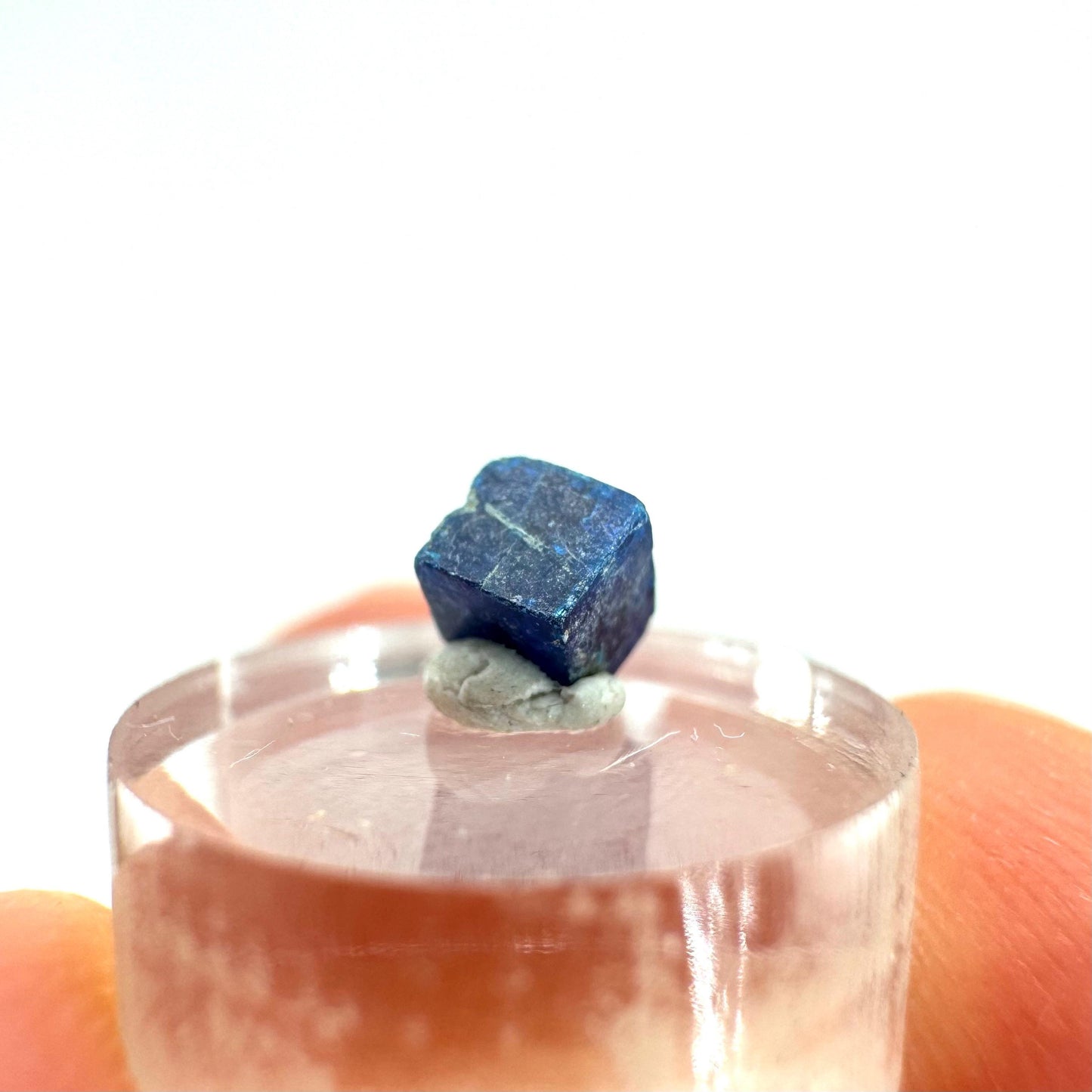 Boleite | blue cube crystal, tiny rare mineral specimen from Mexico
