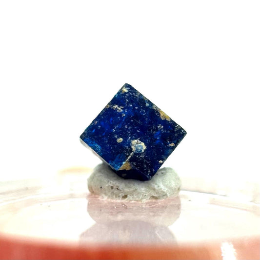 Boleite | blue cube crystal, tiny rare mineral specimen from Mexico