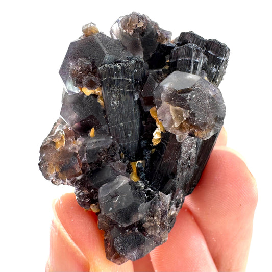 Fluorite on Black Tourmaline | chocolate brown crystal cluster, Erongo mineral specimen