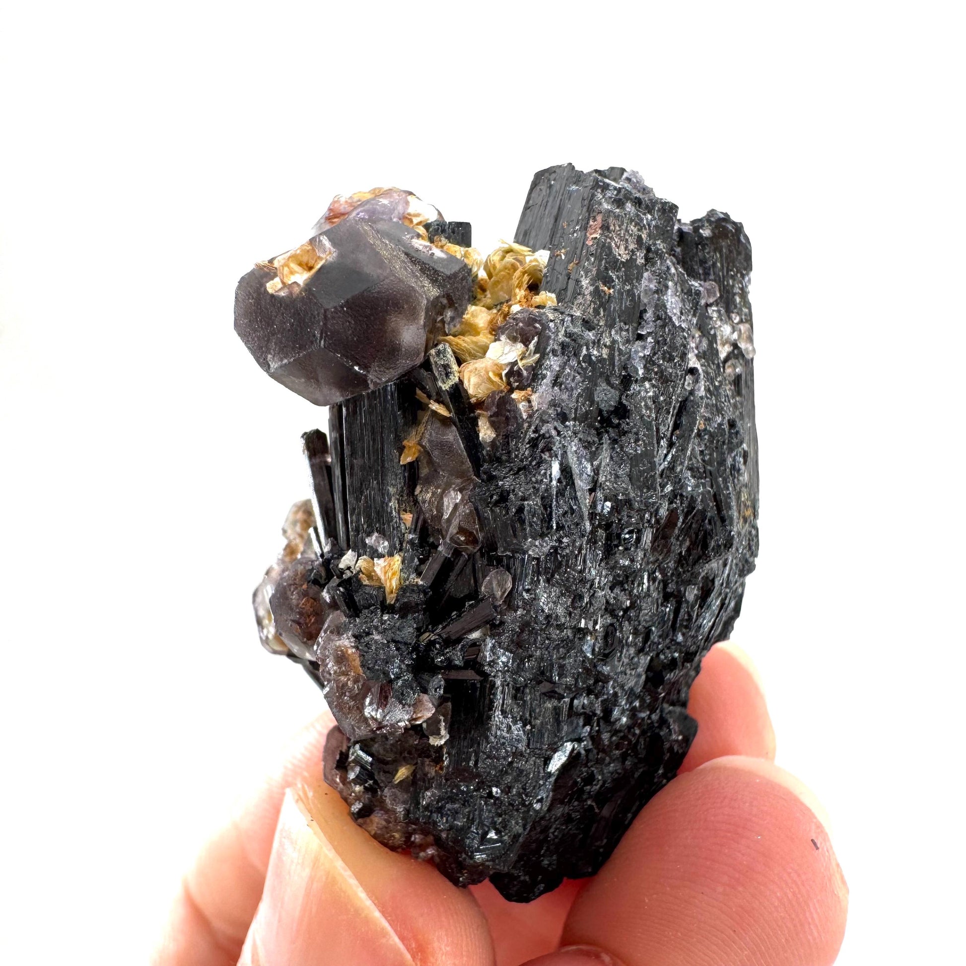 Fluorite & Hyalite Opal on Black Tourmaline | chocolate brown crystal cluster, Erongo mineral specimen