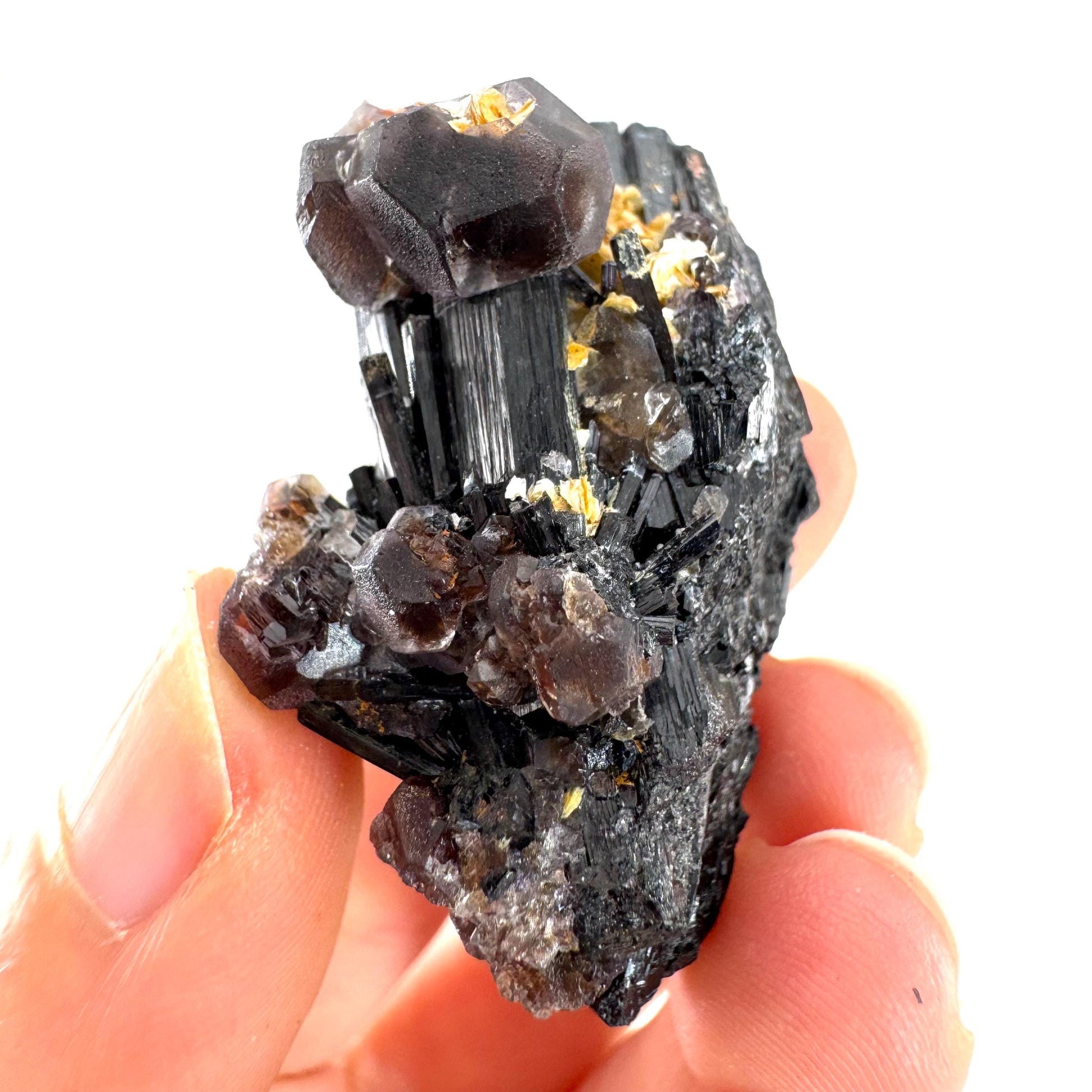 Fluorite & Hyalite Opal on Black Tourmaline | chocolate brown crystal cluster, Erongo mineral specimen