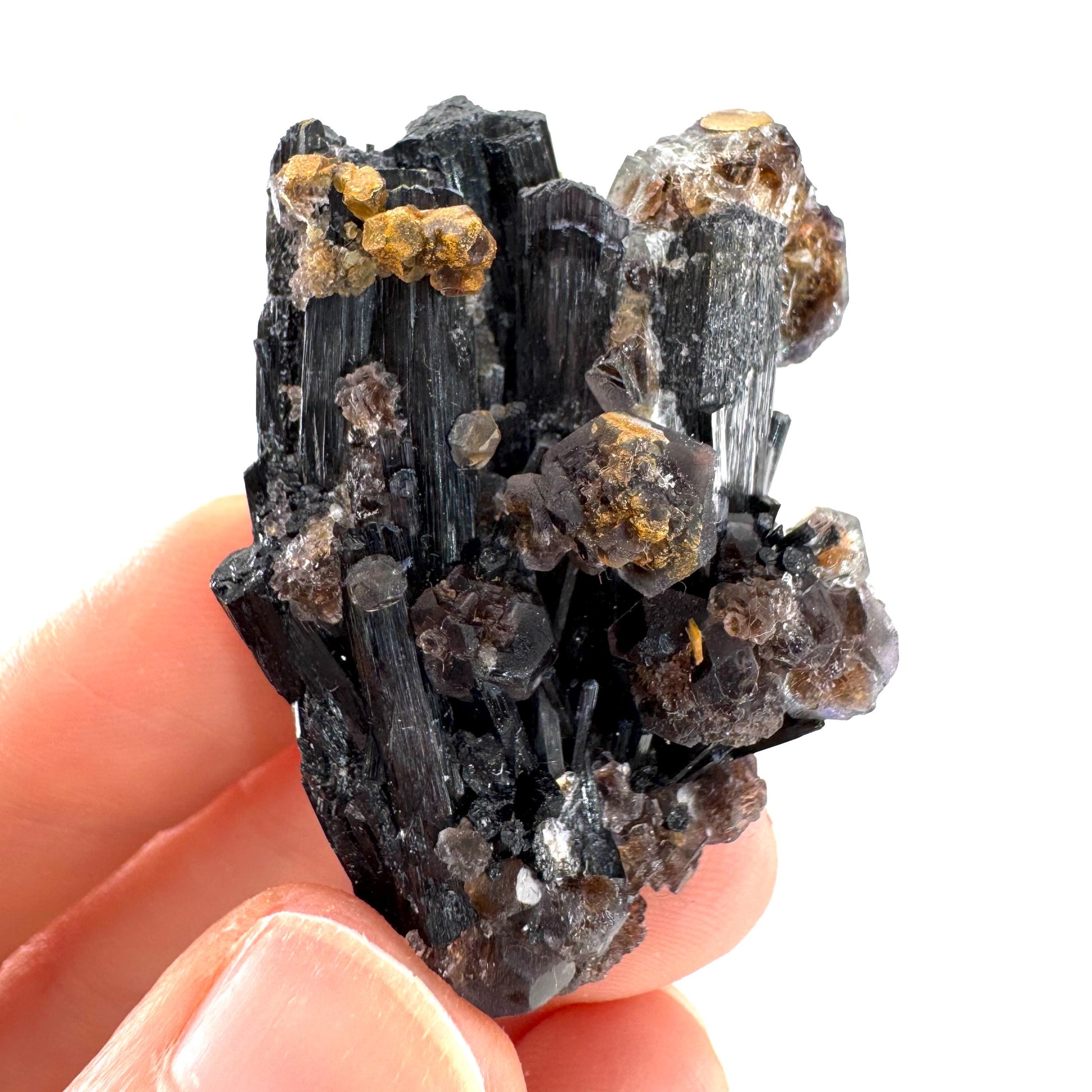 Fluorite & Hyalite Opal on Black Tourmaline | chocolate brown crystal cluster, Erongo mineral specimen