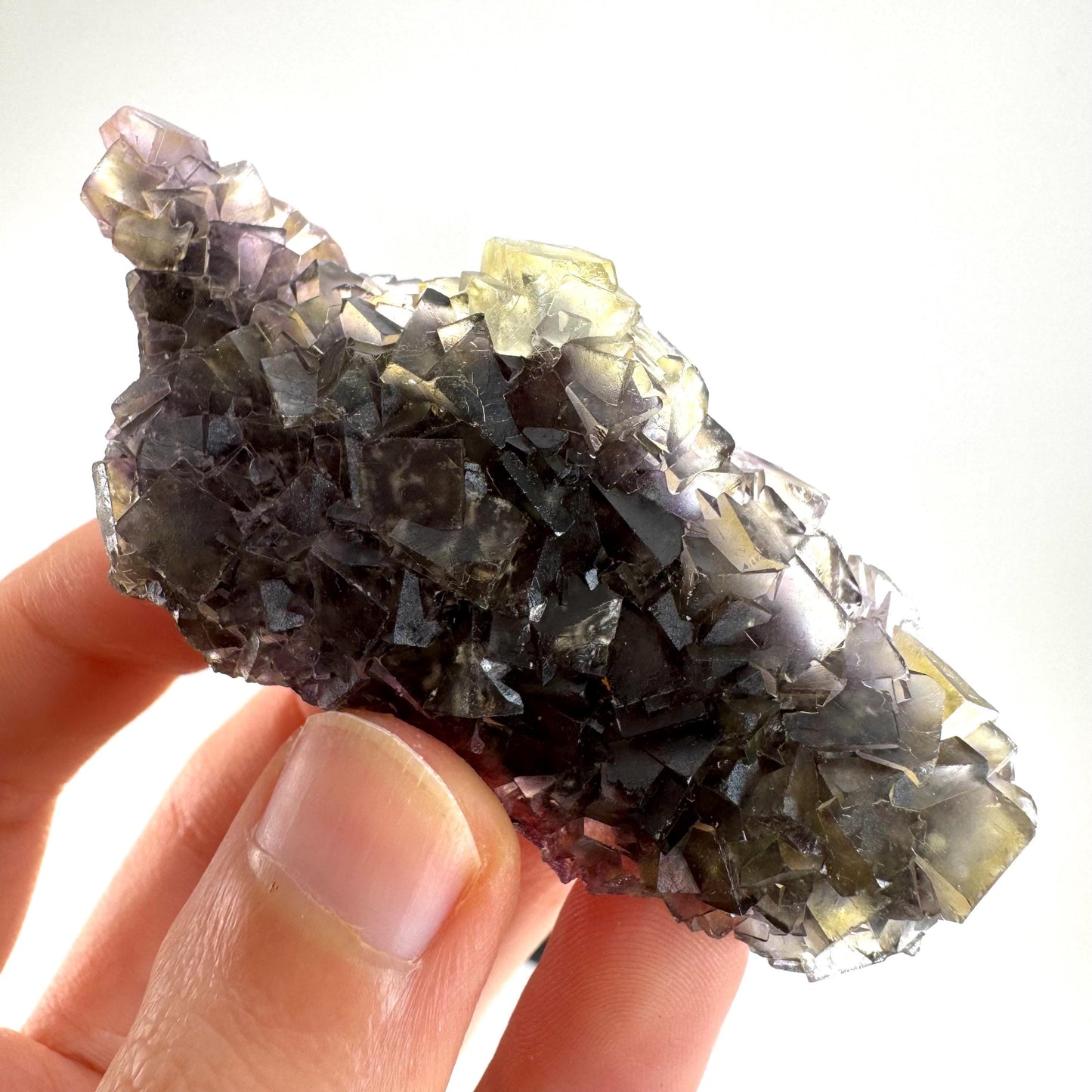 Okorusu Fluorite | “Honey Pocket” yellow crystal cluster, mineral specimen from Namibia