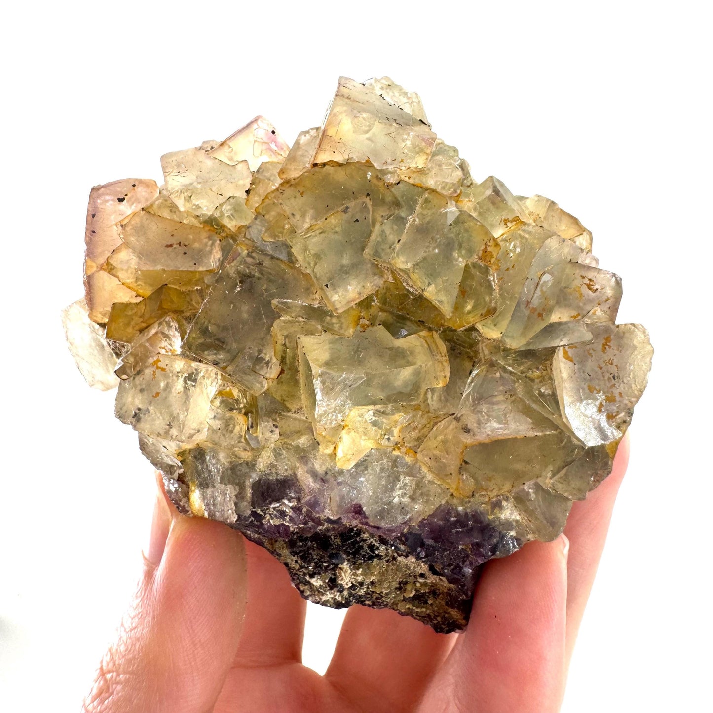 Okorusu Fluorite | yellow & purple crystal cluster, mineral specimen from Namibia