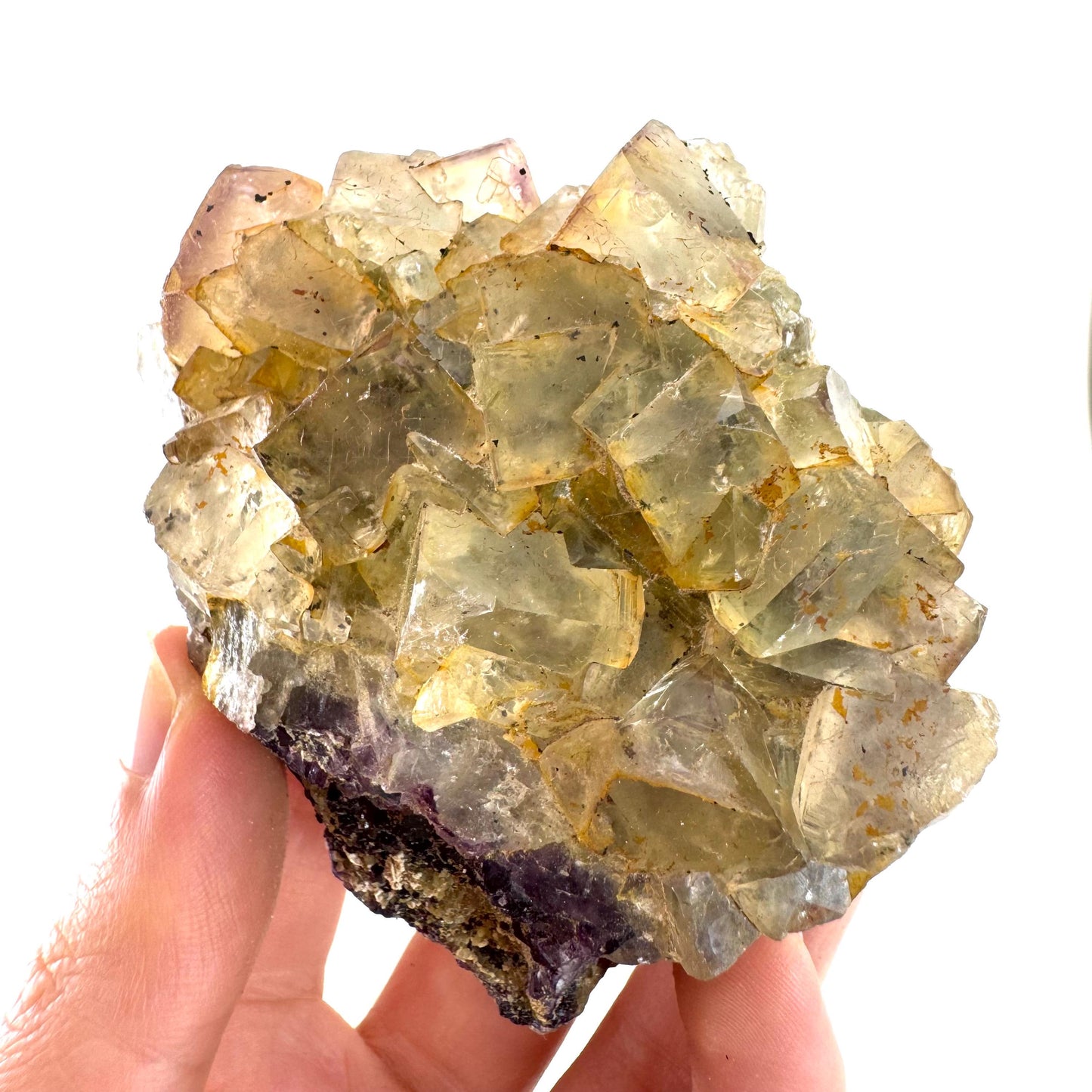 Okorusu Fluorite | yellow & purple crystal cluster, mineral specimen from Namibia