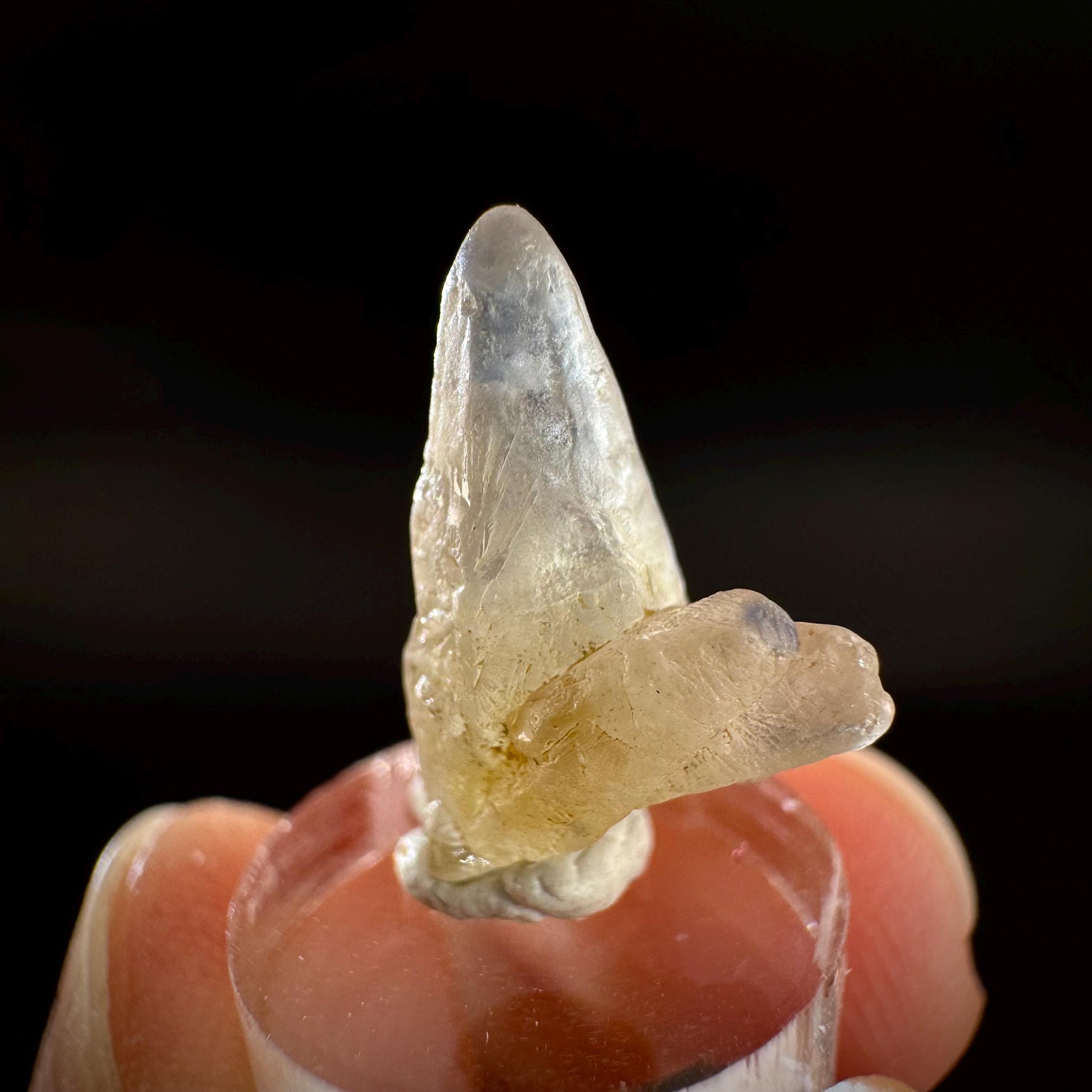 Ceylon Sapphire | natural uncut raw sapphire crystal, mineral specimen from Sri Lanka