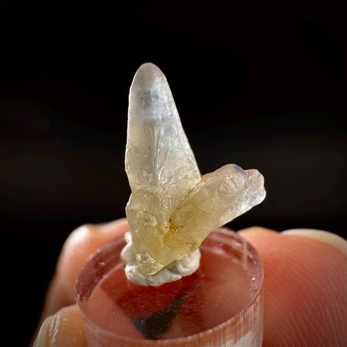 Ceylon Sapphire | natural uncut raw sapphire crystal, mineral specimen from Sri Lanka