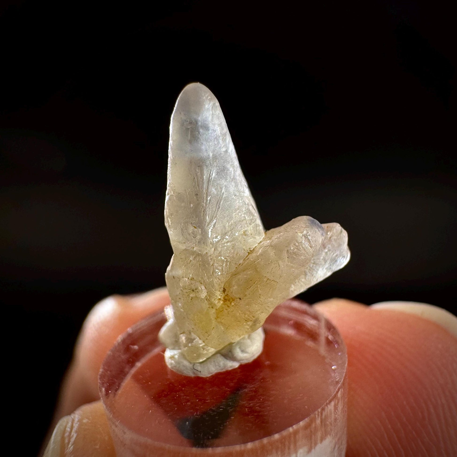 Ceylon Sapphire | natural uncut raw sapphire crystal, mineral specimen from Sri Lanka