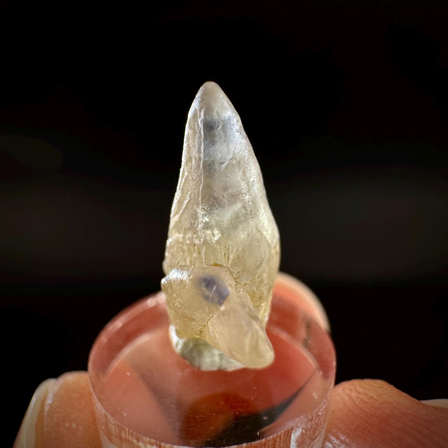 Ceylon Sapphire | natural uncut raw sapphire crystal, mineral specimen from Sri Lanka