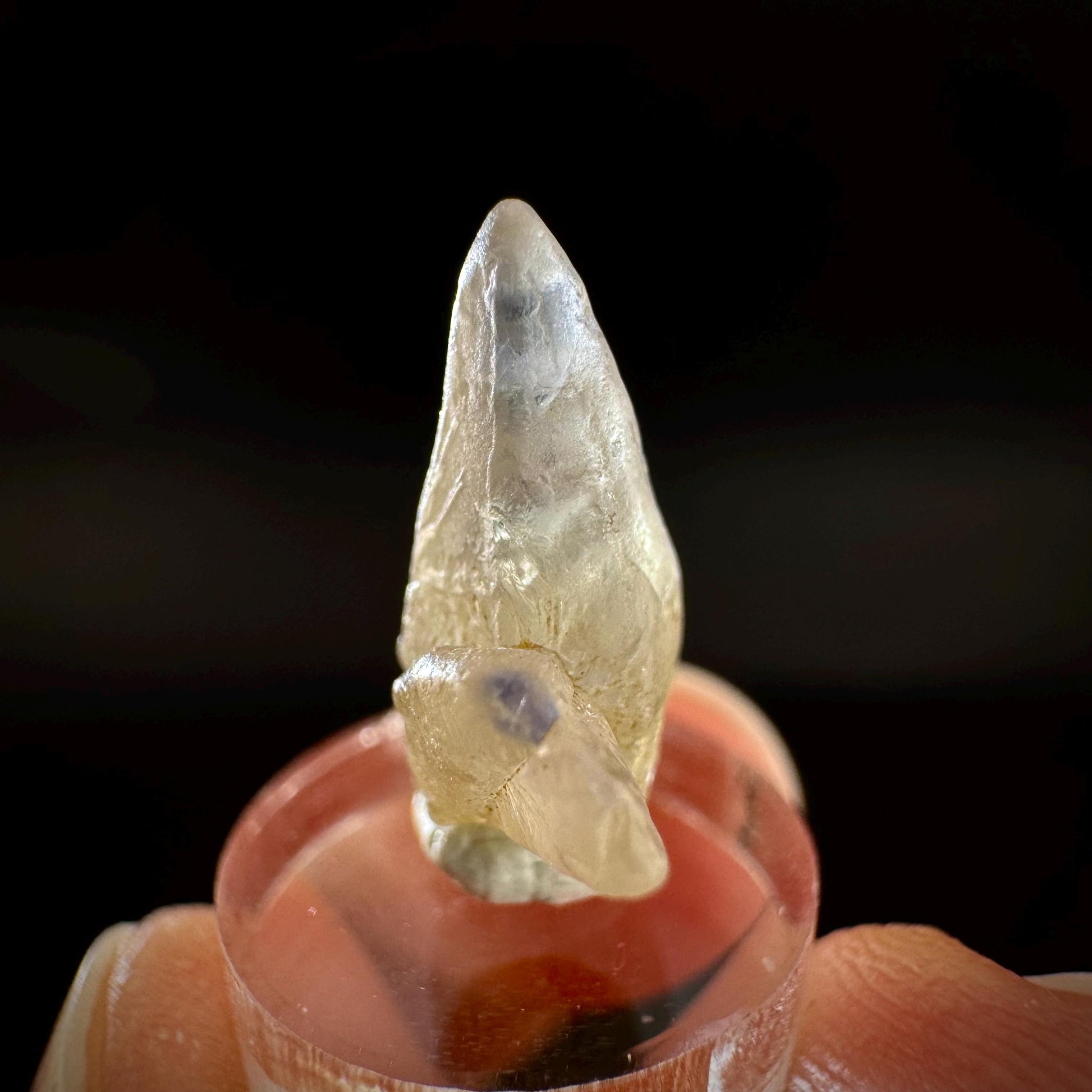 Ceylon Sapphire | natural uncut raw sapphire crystal, mineral specimen from Sri Lanka