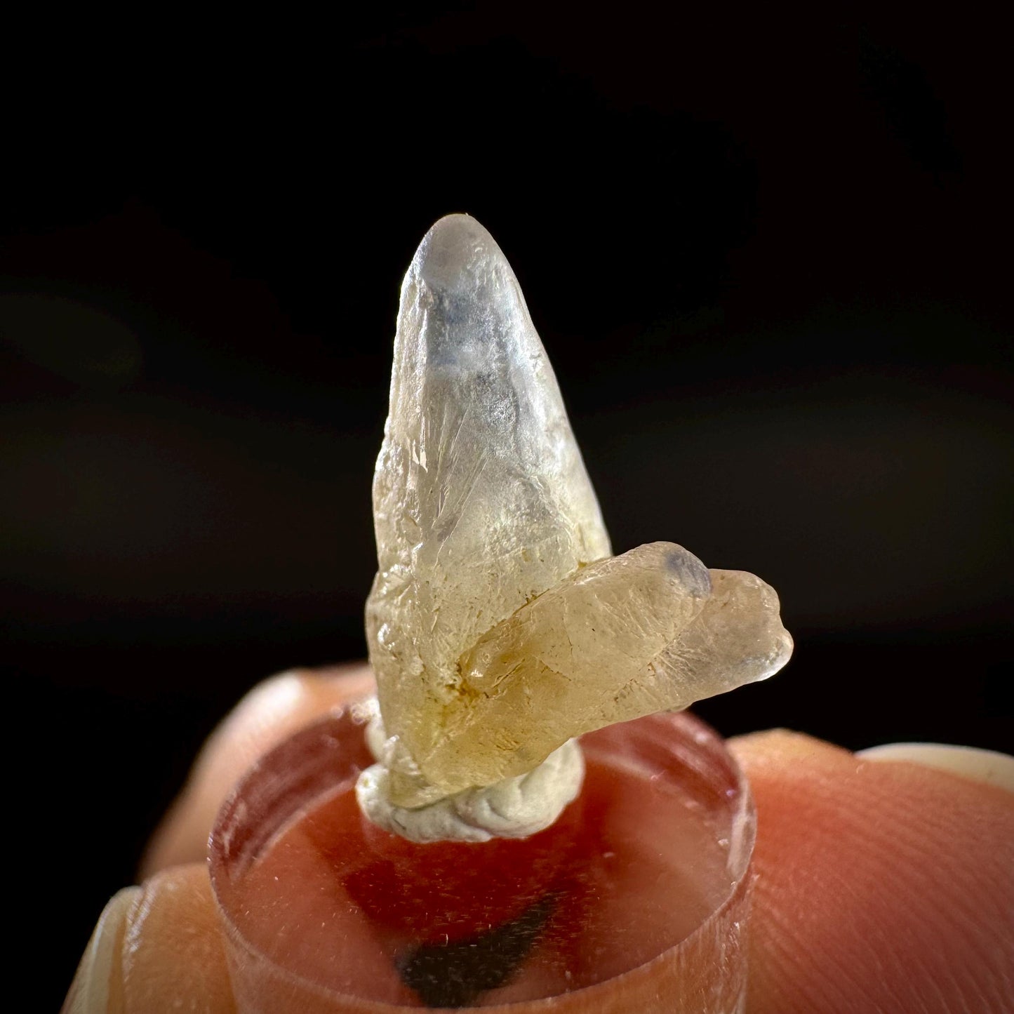 Ceylon Sapphire | natural uncut raw sapphire crystal, mineral specimen from Sri Lanka