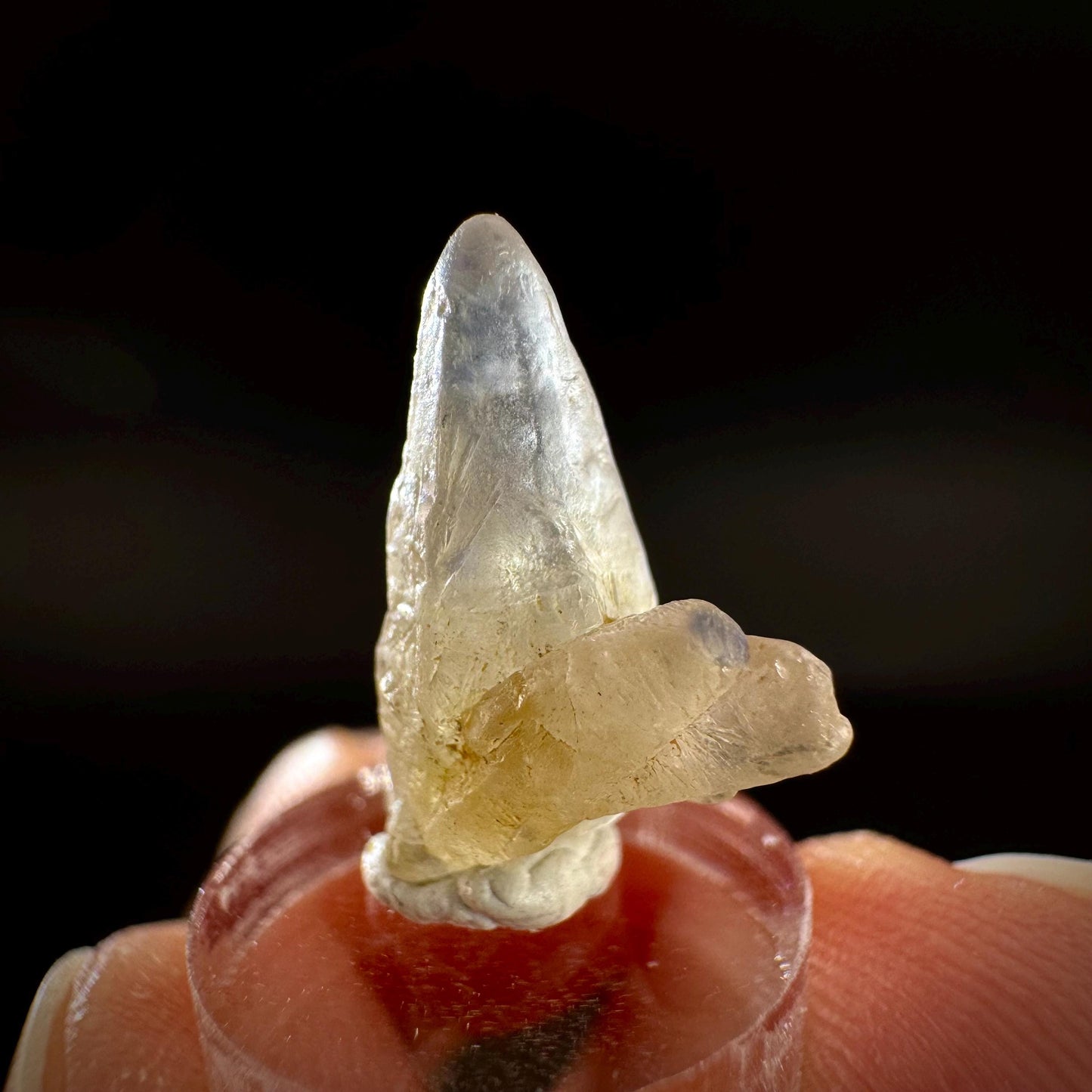 Ceylon Sapphire | natural uncut raw sapphire crystal, mineral specimen from Sri Lanka