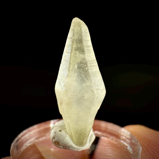 Ceylon Sapphire | natural uncut raw sapphire crystal, mineral specimen from Sri Lanka