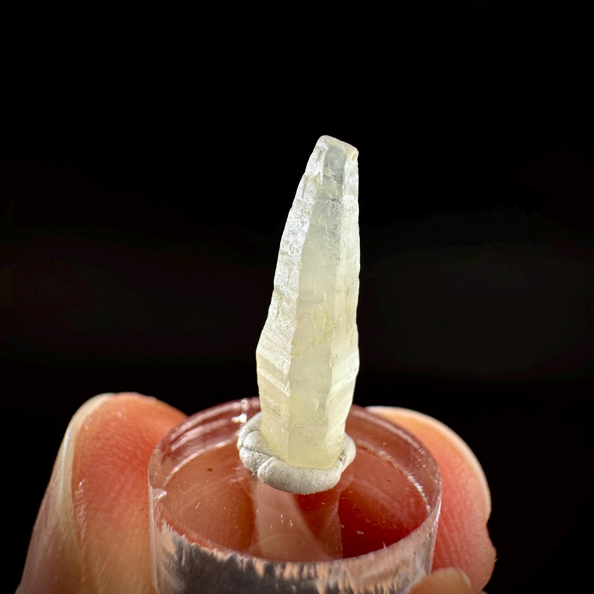 Ceylon Sapphire | natural uncut raw sapphire crystal, mineral specimen from Sri Lanka