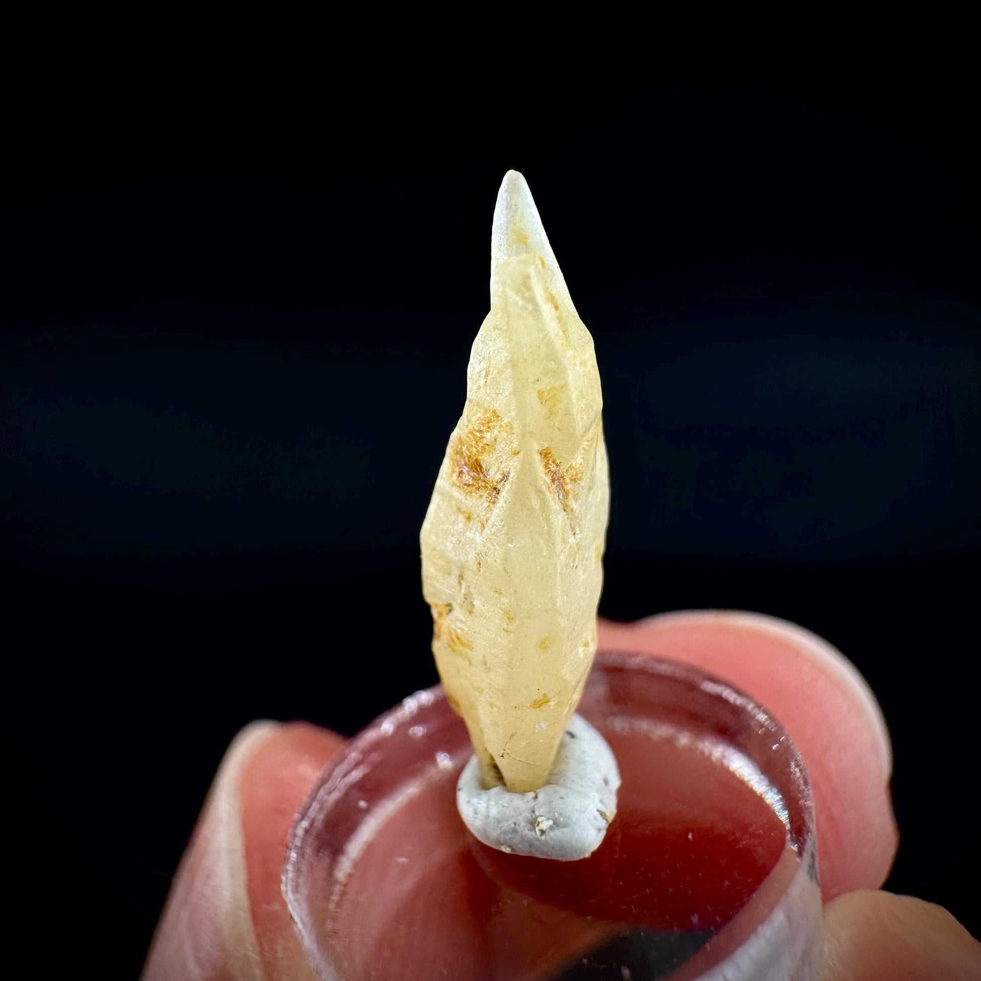 Ceylon Sapphire | natural yellow crystal, uncut raw sapphire, mineral specimen from Sri Lanka