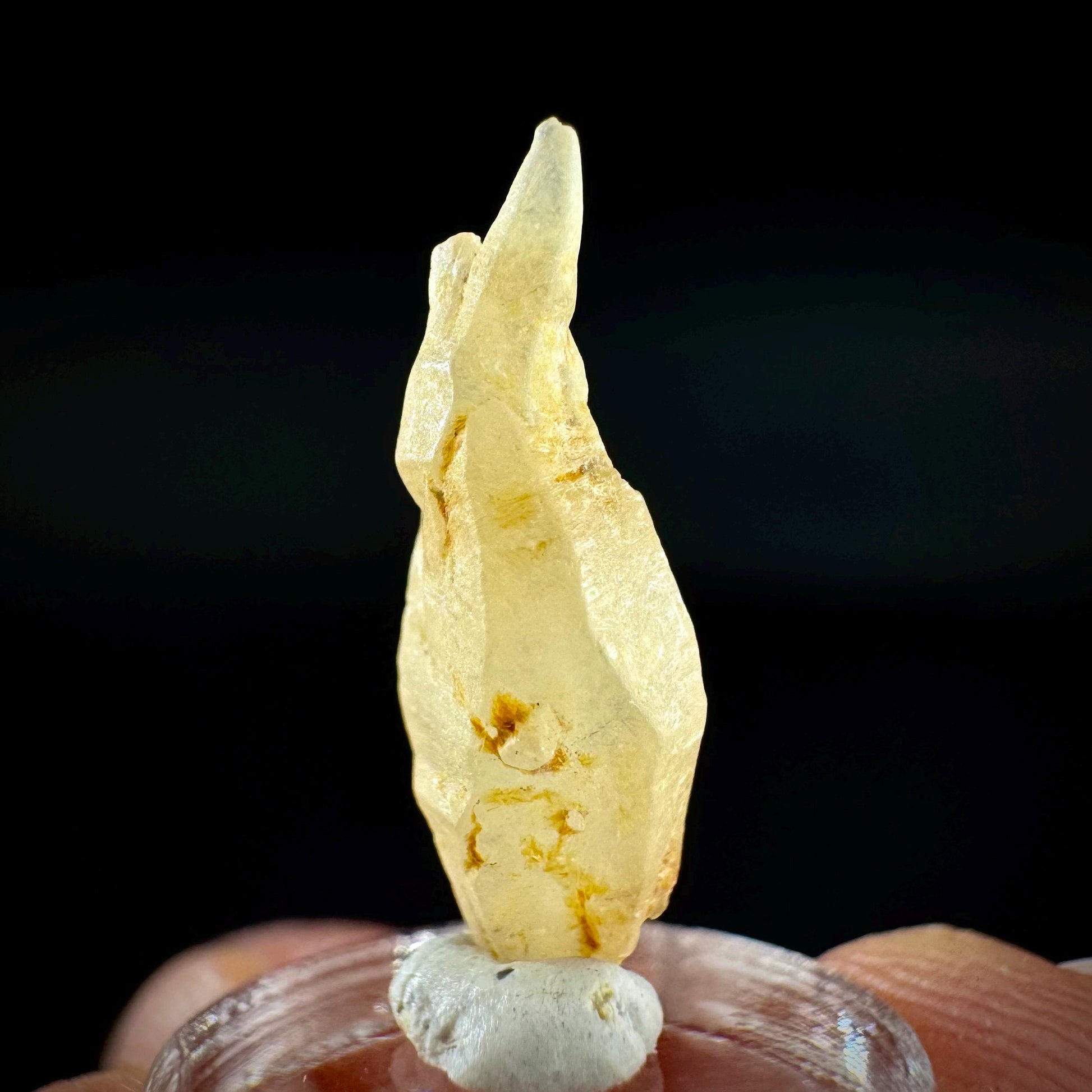 Ceylon Sapphire | natural yellow crystal, uncut raw sapphire, mineral specimen from Sri Lanka