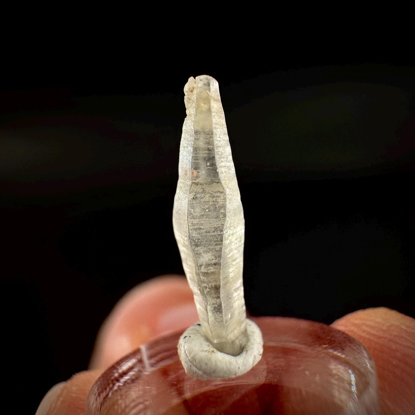 Ceylon Sapphire | natural uncut raw sapphire crystal, mineral specimen from Sri Lanka
