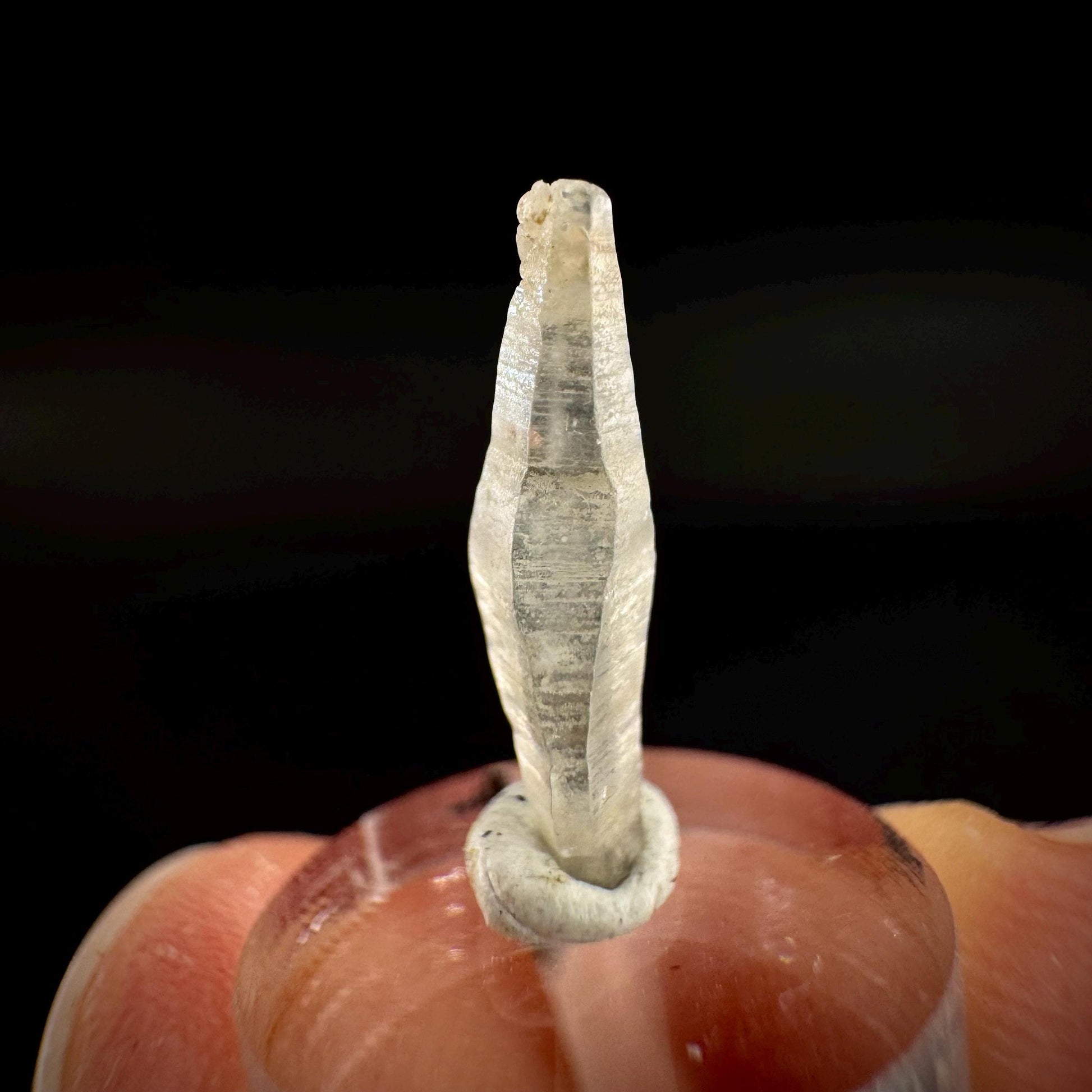 Ceylon Sapphire | natural uncut raw sapphire crystal, mineral specimen from Sri Lanka