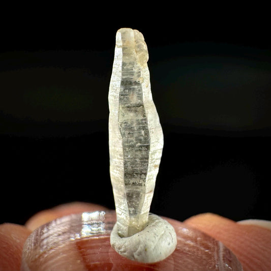 Ceylon Sapphire | natural uncut raw sapphire crystal, mineral specimen from Sri Lanka