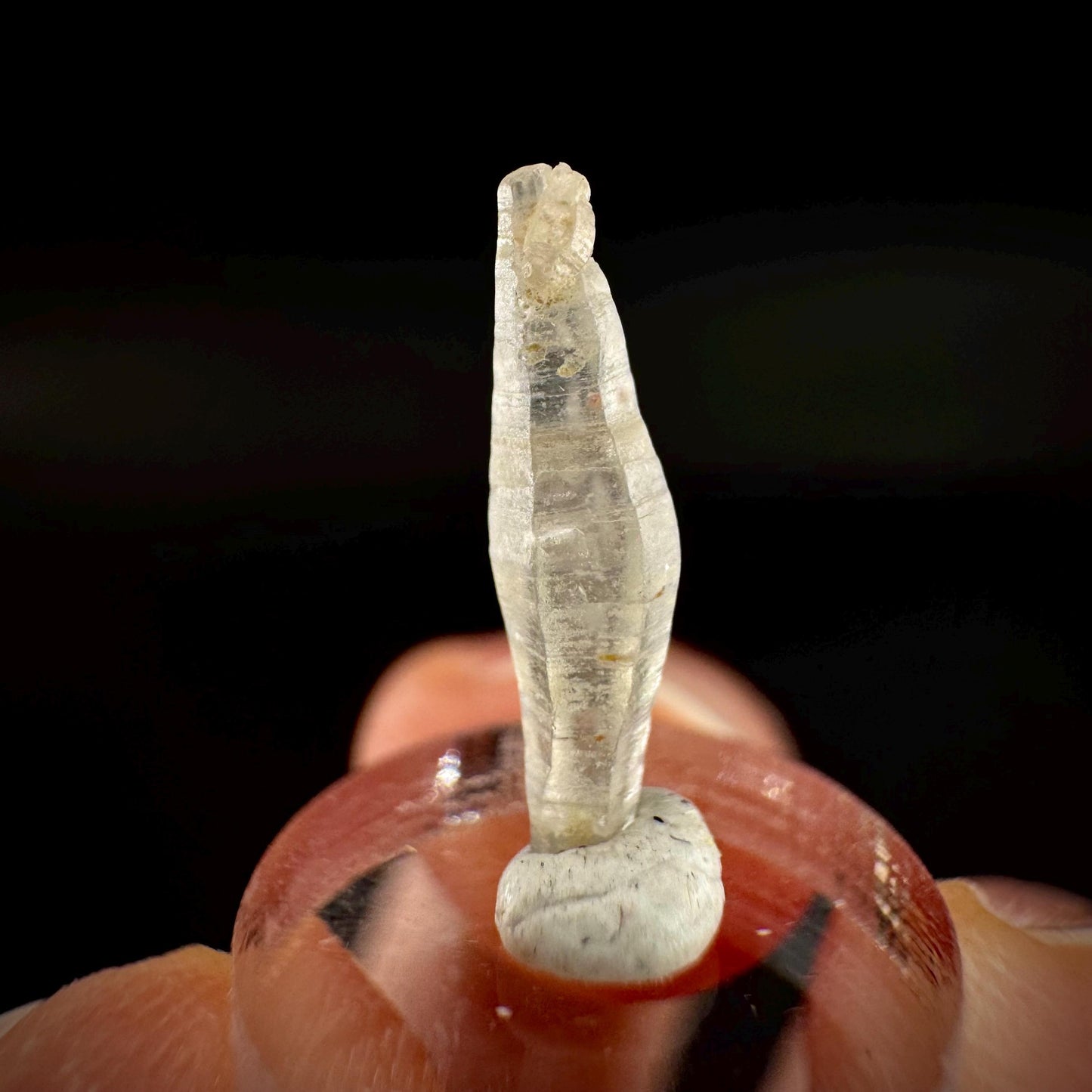 Ceylon Sapphire | natural uncut raw sapphire crystal, mineral specimen from Sri Lanka