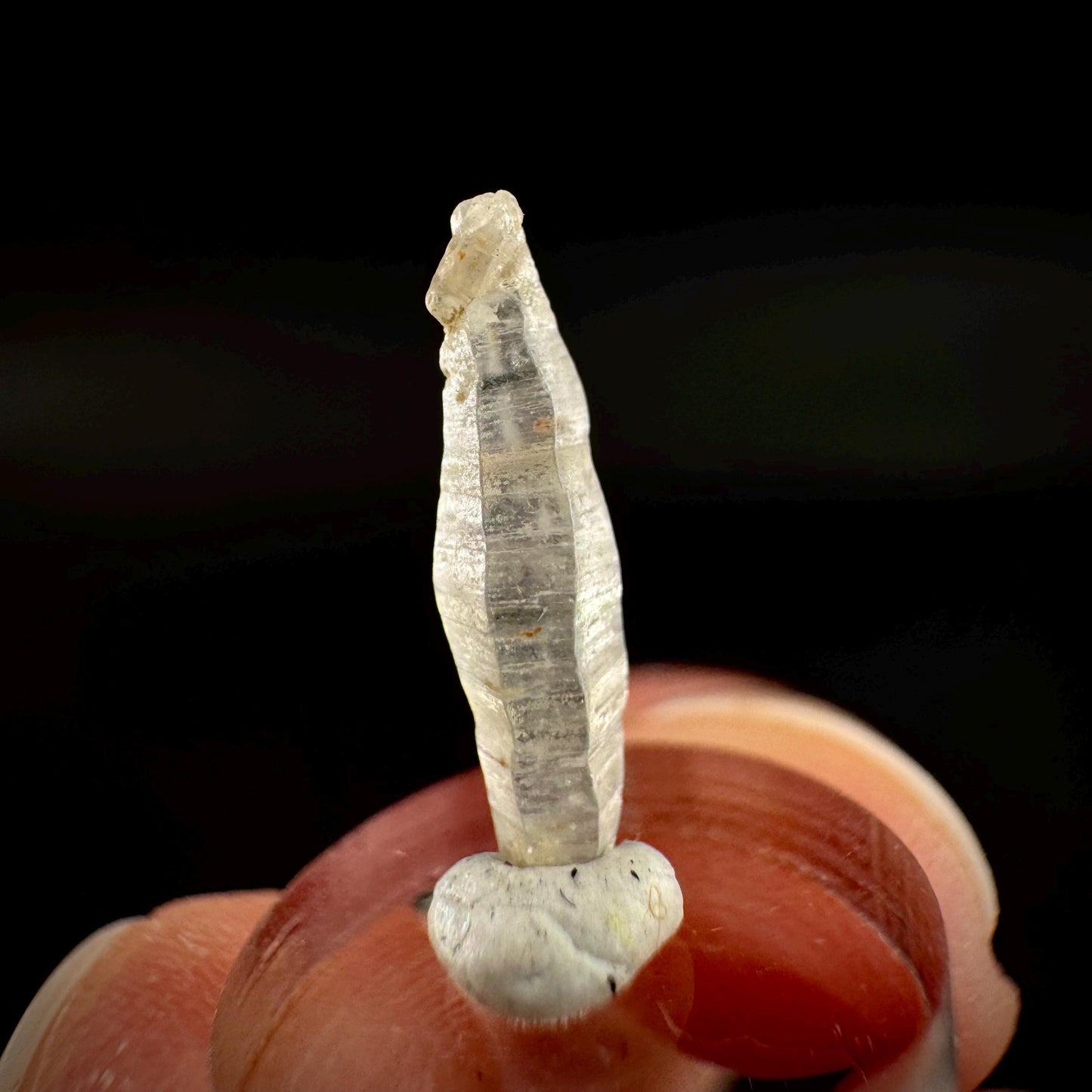 Ceylon Sapphire | natural uncut raw sapphire crystal, mineral specimen from Sri Lanka
