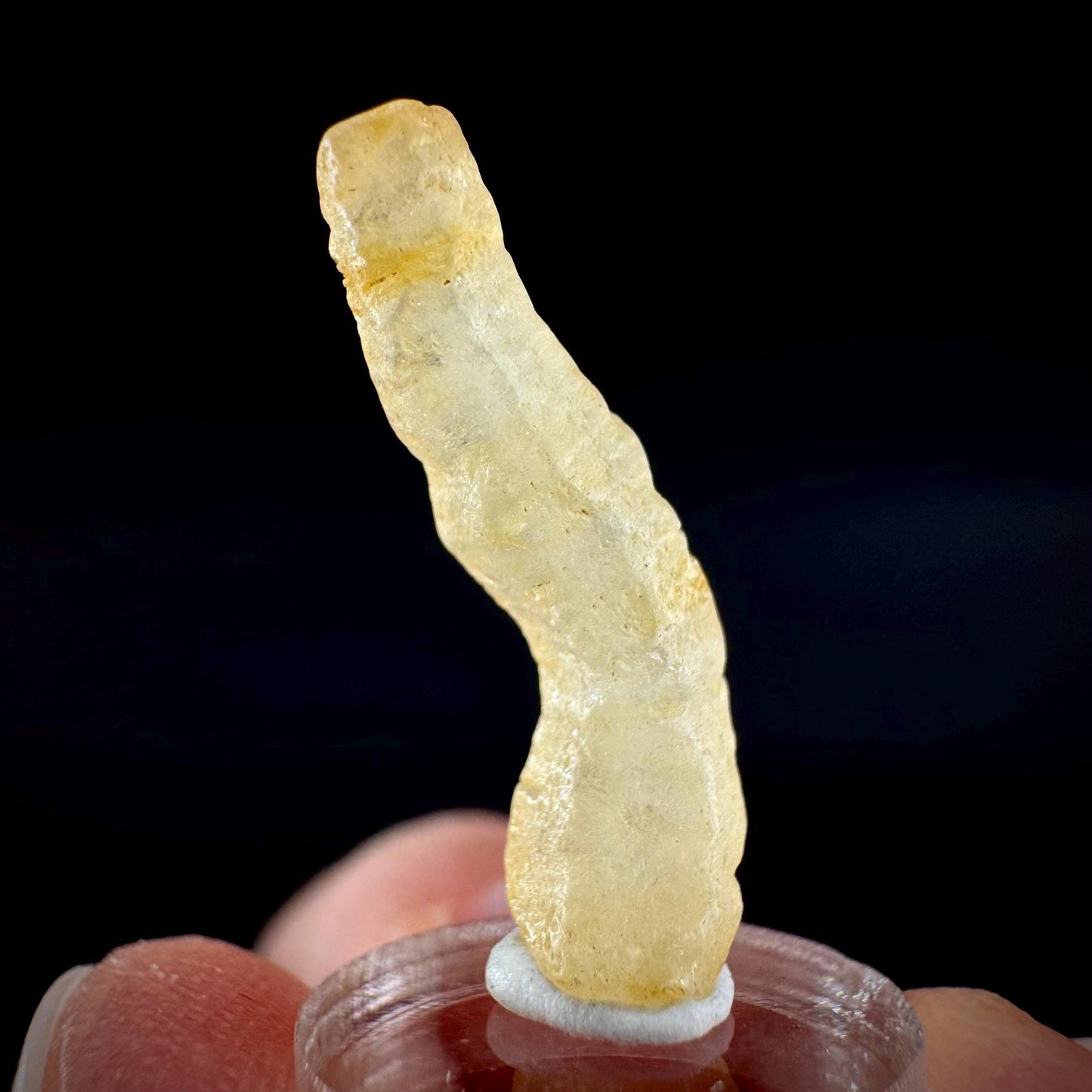 Ceylon Sapphire | natural yellow crystal, uncut raw sapphire, mineral specimen from Sri Lanka