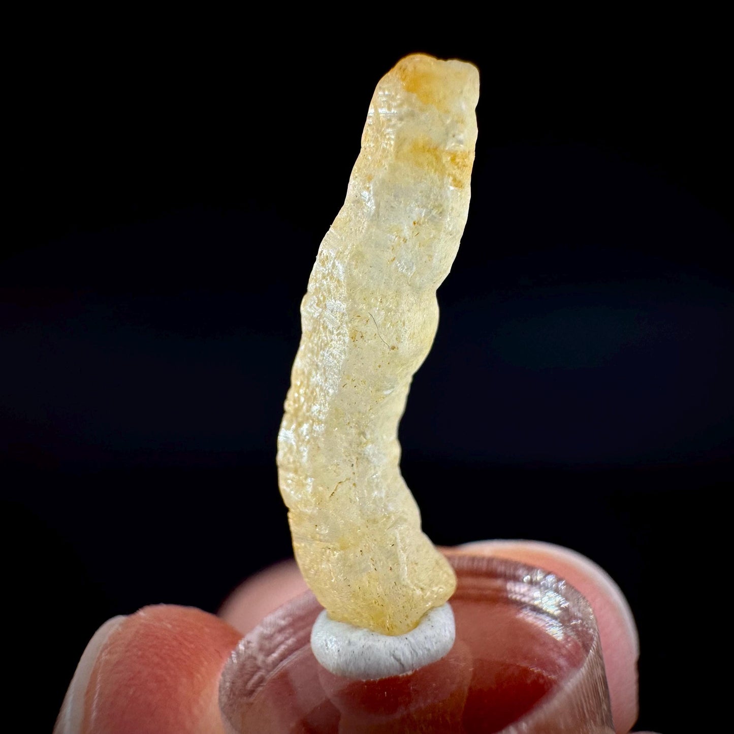 Ceylon Sapphire | natural yellow crystal, uncut raw sapphire, mineral specimen from Sri Lanka