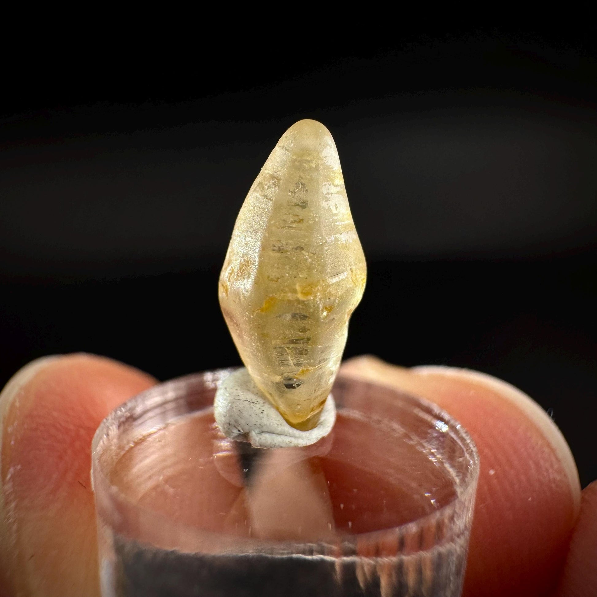 Ceylon Sapphire | natural yellow crystal, uncut raw sapphire, mineral specimen from Sri Lanka