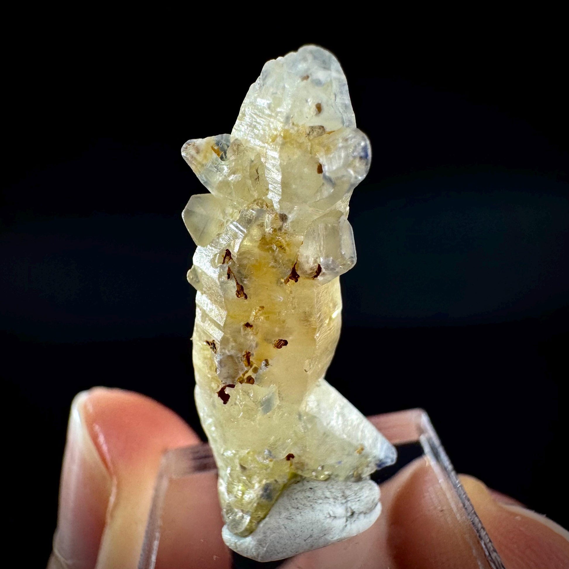 Ceylon Sapphire | natural uncut raw sapphire crystal, mineral specimen from Sri Lanka