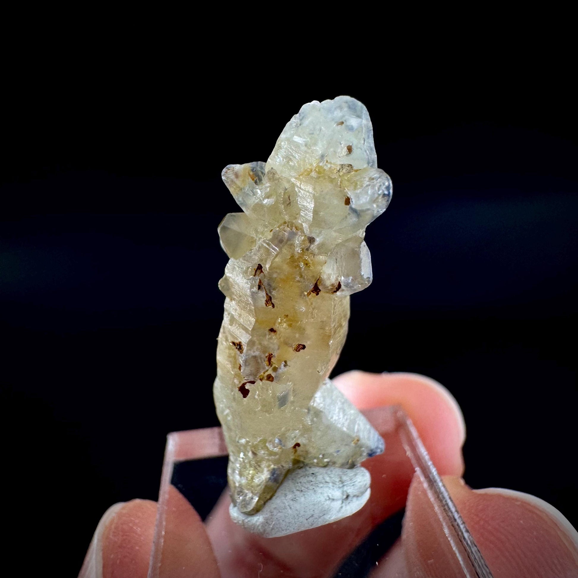 Ceylon Sapphire | natural uncut raw sapphire crystal, mineral specimen from Sri Lanka