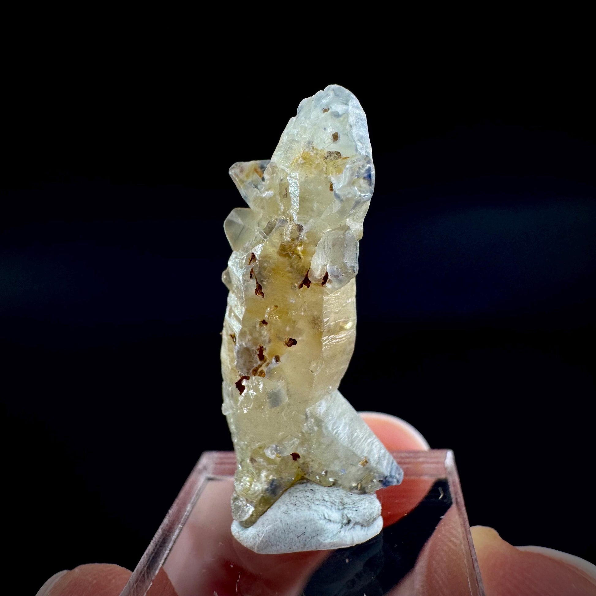Ceylon Sapphire | natural uncut raw sapphire crystal, mineral specimen from Sri Lanka