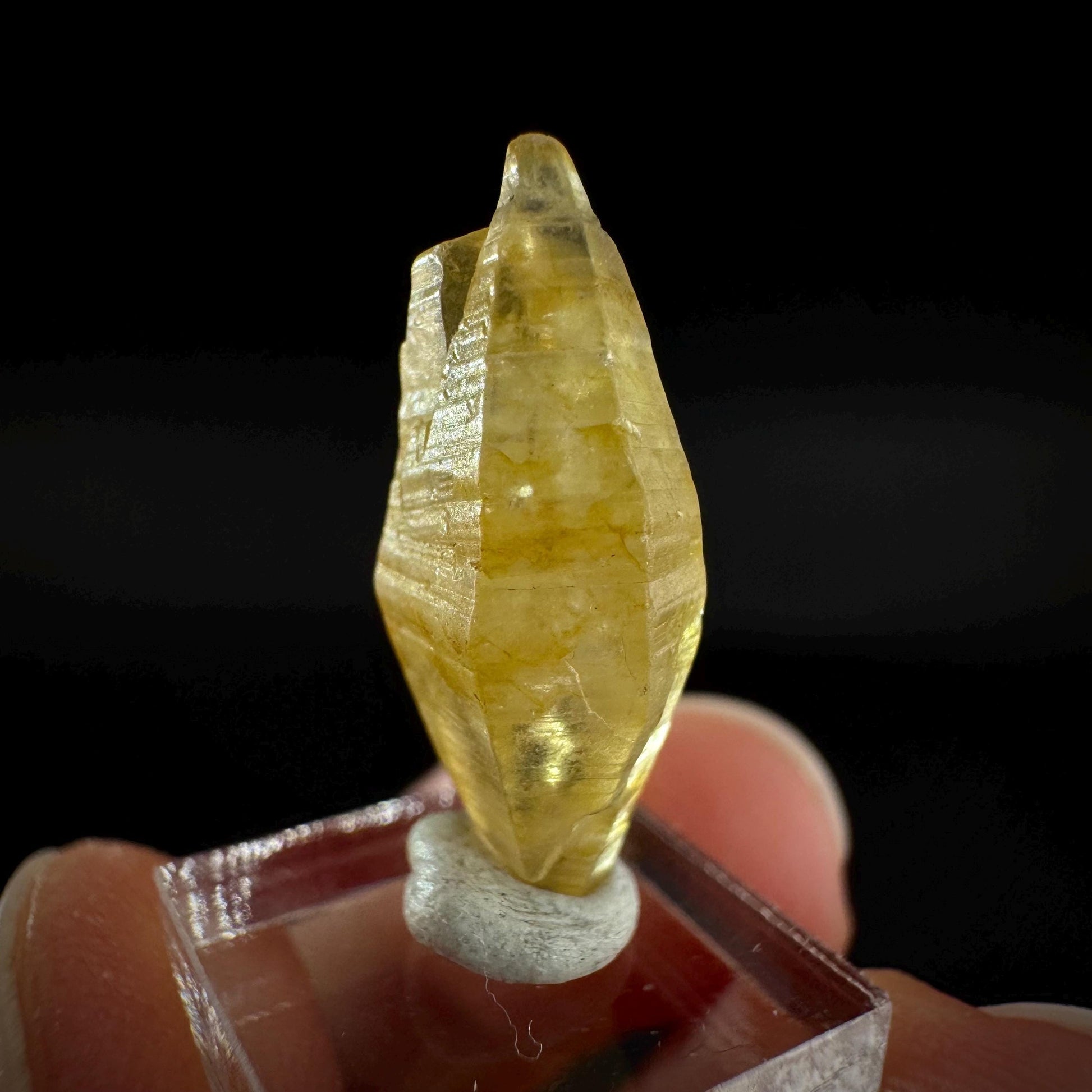 Ceylon Sapphire | natural yellow crystal, uncut raw sapphire, mineral specimen from Sri Lanka